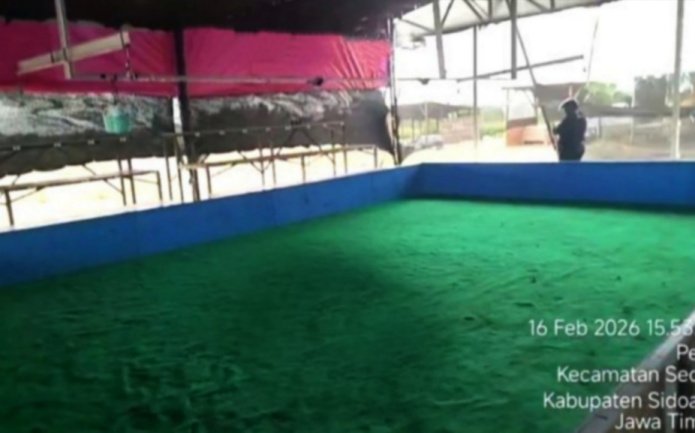 Arena Sabung Ayam Sedati Kembali Berdiri, LPK-RI Gresik Ikut Desak Aparat Sidoarjo Bertindak Tegas