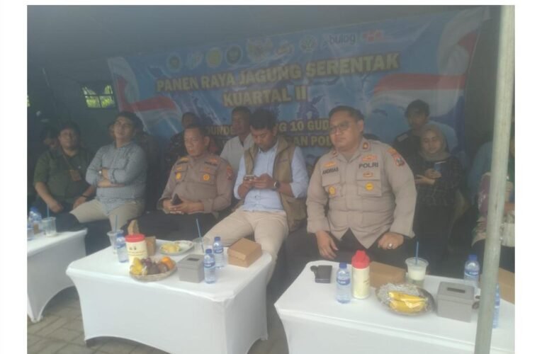 Polsek Kenjeran,Dukung Ketahanan Pangan, Panen Jagung Di Jalan Tambak Wedi Baru.